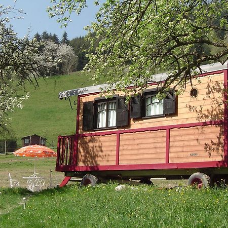 Le Repaire De Mitzerle Villa Mitzach Екстериор снимка