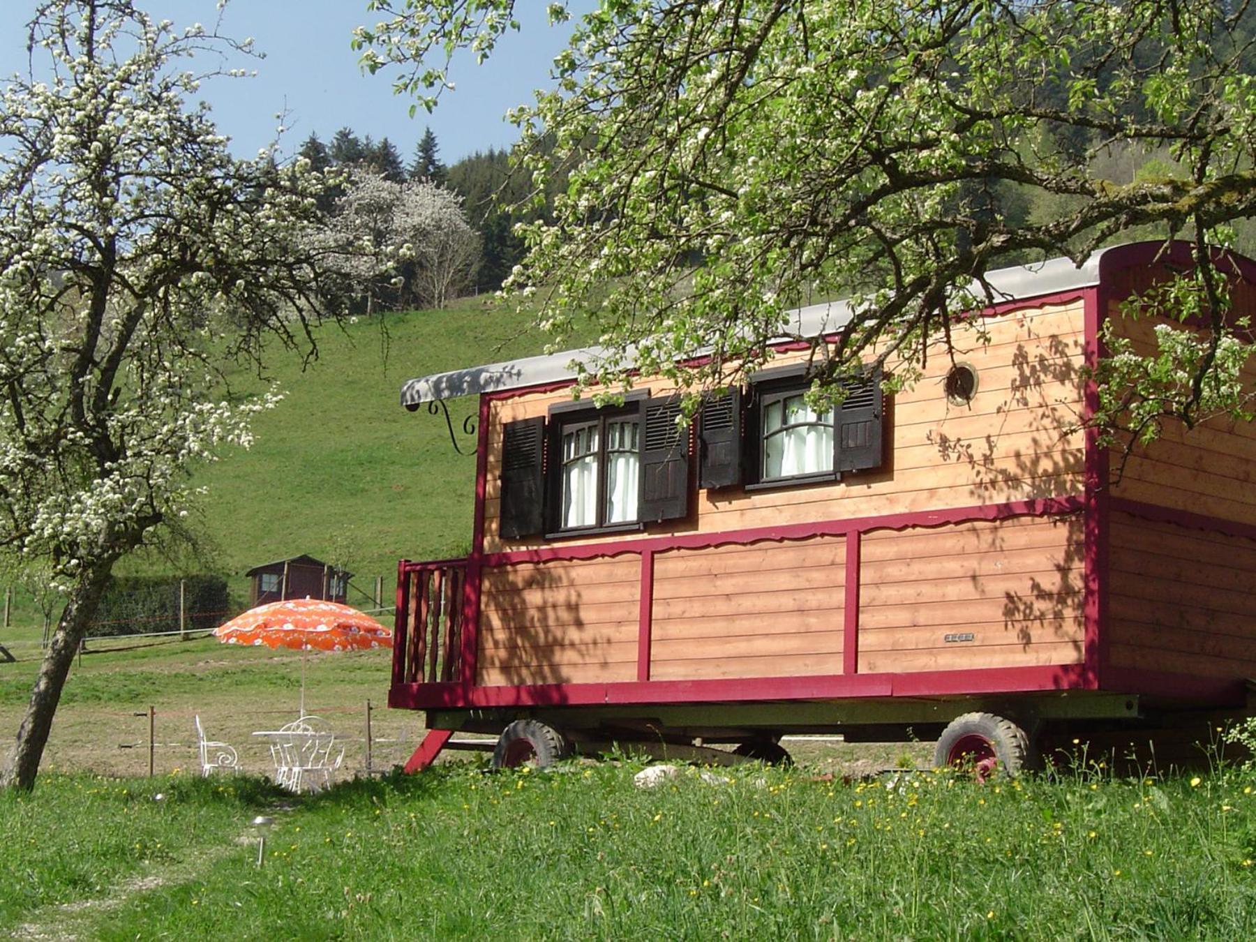 Le Repaire De Mitzerle Villa Mitzach Екстериор снимка